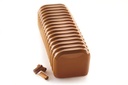 MOULE SILIKOMART BANDONEON 1800 256X95 H87MM