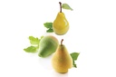 MOULE SILIKOMART PERA  ET FICO -POIRE DIAM60X55 H76MM+SUPPORT