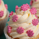 MIX DECORS EN SUCRE FLEURS ROSES 25GR