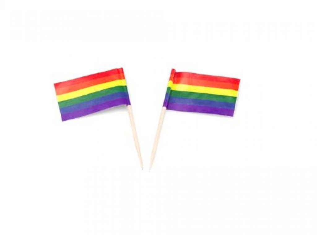 500PCS RAINBOW FLAG PICKS