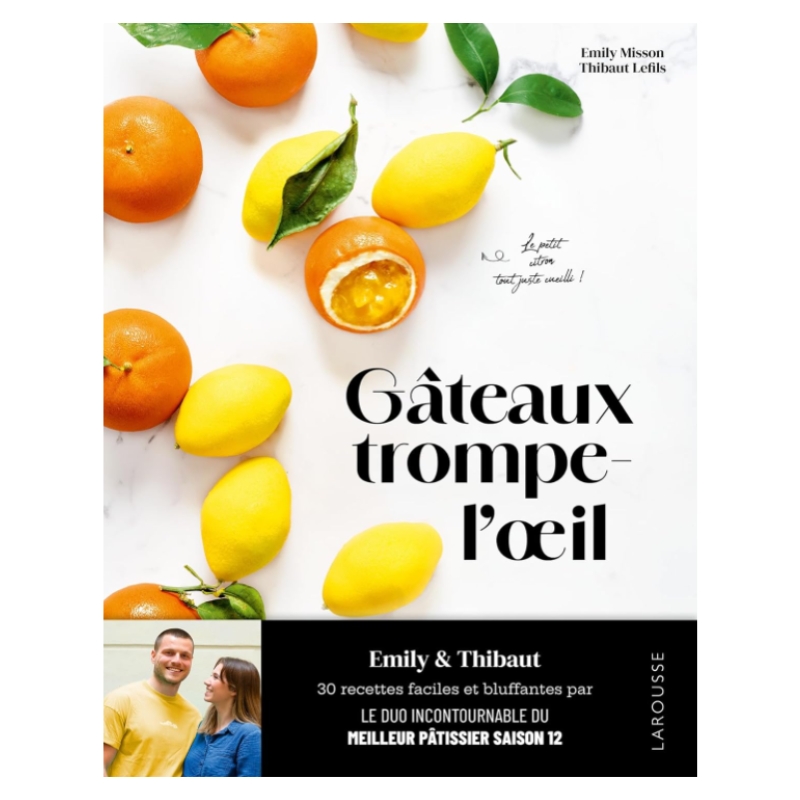 BOOK "GATEAUX TROMPE L OEIL" FROM EMILY MISSON EN THIBAUT LEFILS LAROUSSE EDITION
