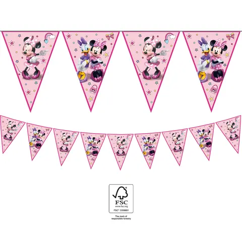 MINNIE JUNIOR GUIRLANDE DRAPEAUX 1pc