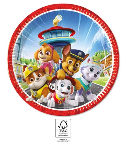 PAW PATROL HERO ASSIETTES EN PA