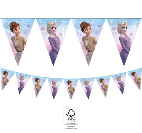 FROZEN II WIND SPIRIT  GUIRLANDE DRAPEAUX 1pc