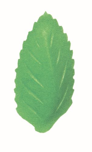 FR01P GROENE BLAAD IN HOSTIE 41 X 21 MM 1000 STUKKEN = ZAKJE