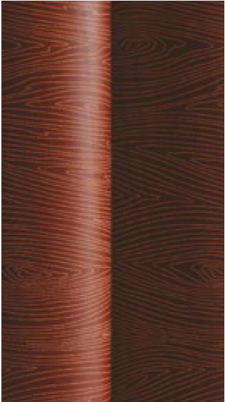 092106 PCB OVERDRACHTSBLAD GOUDADERPATROON 265X125MM 20 STUKS