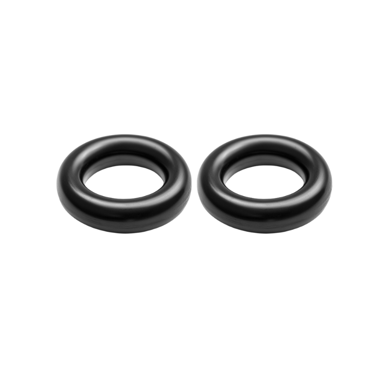 SGI O-RING VOOR SATA ADAM 2 - 2STK