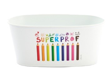 WIT OVAAL ZINKEN POTJE + POTLOOD "SUPER LERAAR" 20x11CM H9CM