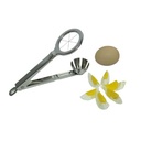 LT EGG CUTTER TONGS 6 QUARTERS STAINLESS STEEL