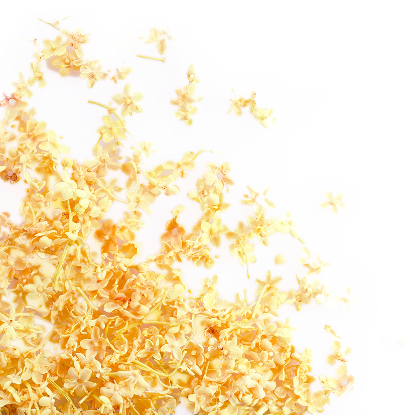 088206 PCB FREEZE-DRIED ELDERFLOWER 5GR