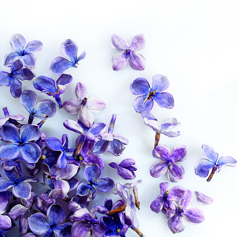 088205 PCB GEVRIESDROOGDE SERING BLOEMEN 2GR