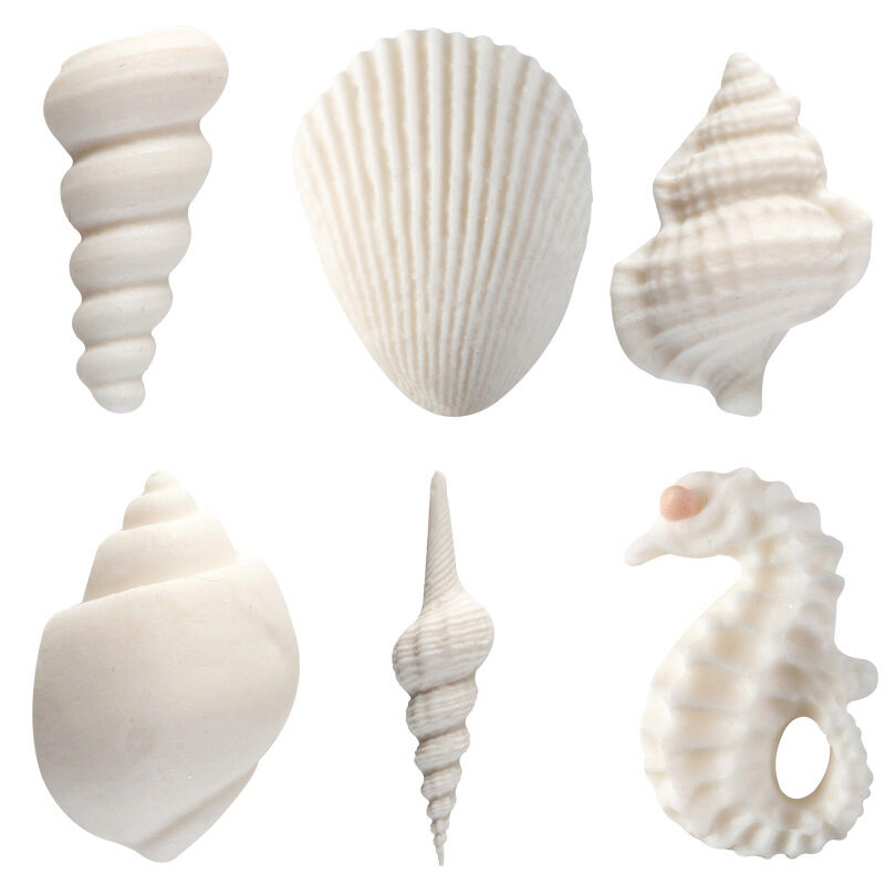 1024712 ASSORTED SUGAR SHELLS 72 PCES ***ON/ORDER***