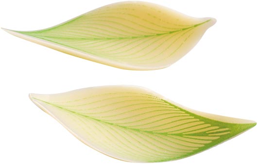 060920 PCB KLEINE GEBOGEN PLATEN CB 2 ONTWERPEN 160 STUKS ***S/CD***