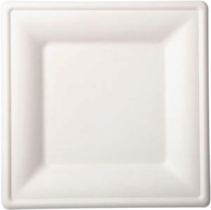 DUNI ASSIETTE CARREE BAGASSE BIO 26X26CM 10 PCES