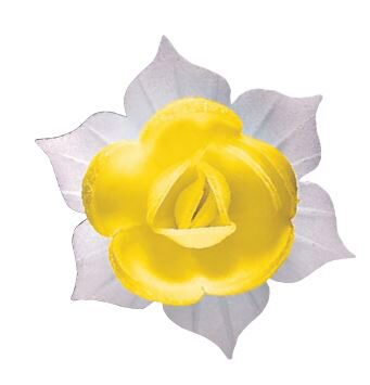 J560 GELE NARCIS HOSTIE GEASSORTEERD 45MM 28 STUKENS