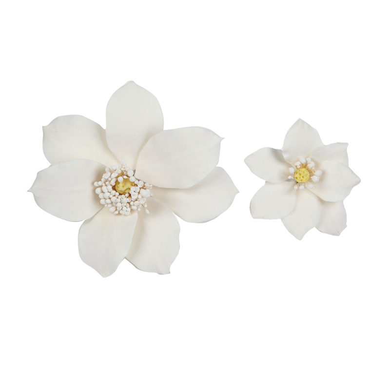 1066005 ASSORTIMENT WITTE CLEMATIS 16 STUKS ***OP BESTELLING***