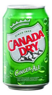 DRINK CANADA DRY 24X33CL BLIKJE = TRAY
