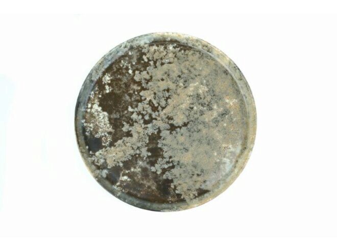 GURAL FOREST DINNER PLATE 29CM - 622101