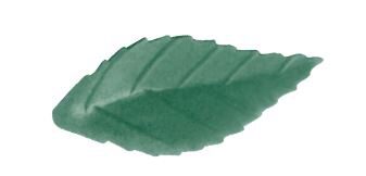 FRN03 DARK GREEN ROSE LEAF 38 MM 500 PIECES