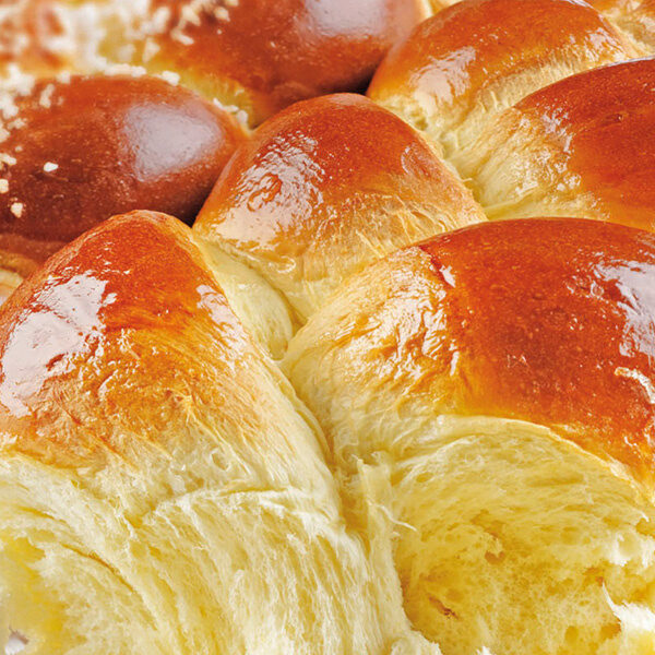 *FF* SUPPRIME FOURNISSEUR KOMPLET PLUSPAN PATE LEVEE CONVENIENCE  PATE LUXE  20% SANS PALME 20KG