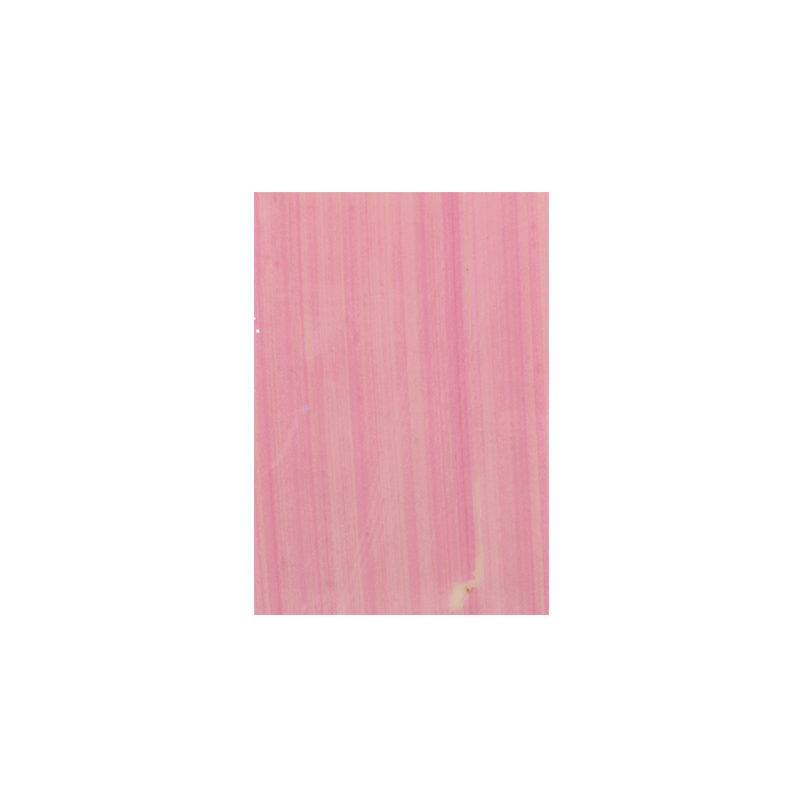 *FF*1032507 ROZE BORD 315 STUKS ***OP BESTELLING***