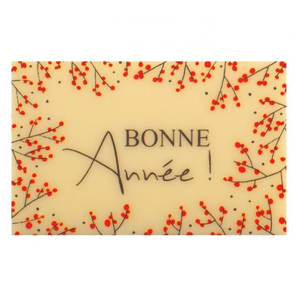 060452 PCB RECTANGLES CB HOUX 2 DESIGNS 5,5X3,5 CM150PCES ***S/CD***