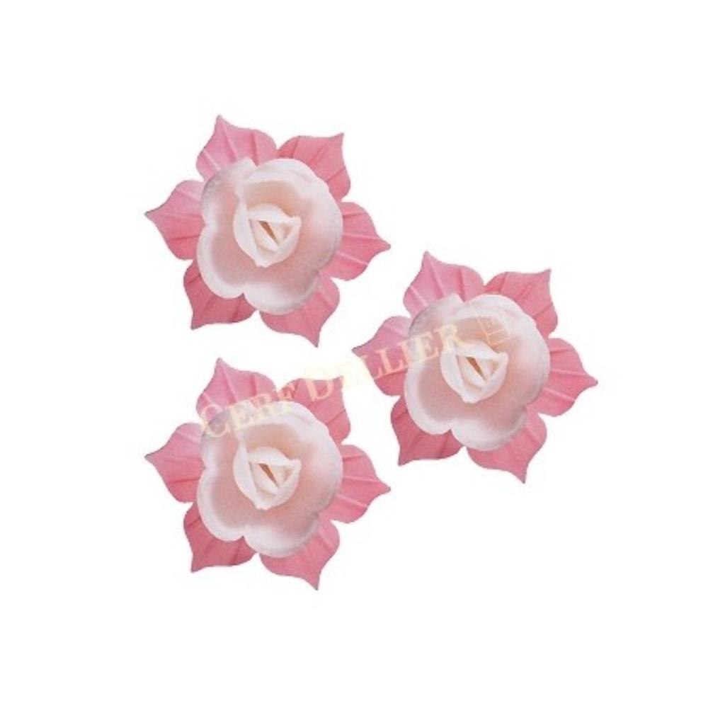 J02 JONQUILLE AZYME 45MM ROSE ET BLANC 28 PCES
