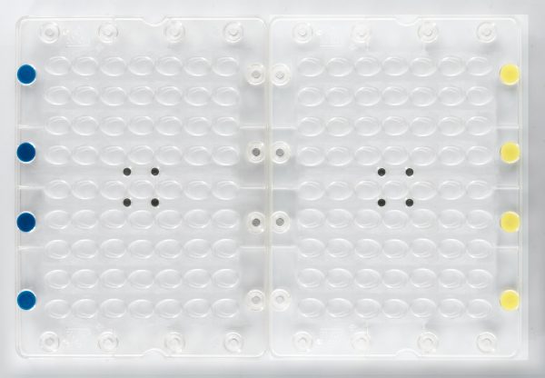 009964 PCB MOULE AIMANTÉ POUR ASSEMBLAGE OEUFS OUMADELEINES 63 EMPREINTES 1PCE ***S/CD***