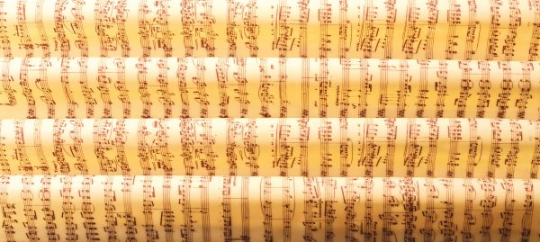 PCB Bedrukte vellen Muzieknoten 40x25 cm 17 stuks ***s/cd***