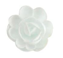 RG01 LARGE WAFER ROSE 50 MM WHITE 36PCS