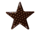 15652 STER MET PUNT 2,5CM 175PCES ***OP/ORDER***
