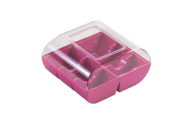 MACADO FUSCHIA DOOS VOOR 6 MACARONS