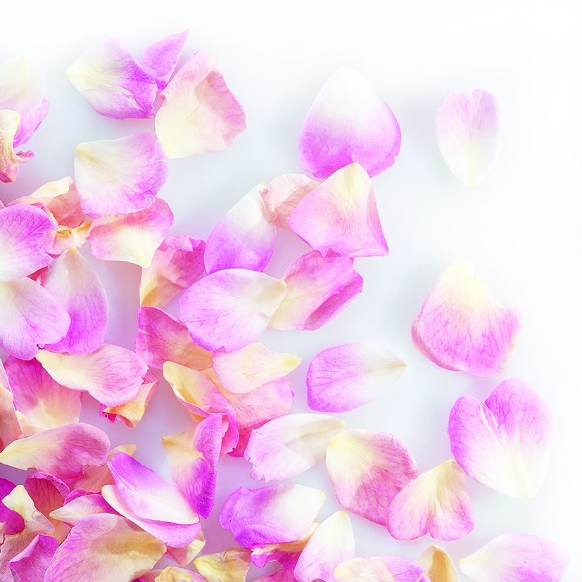 088207 PCB MINI PÉTALES DE ROSE LYOPHILISÉES ROSE PÂLE 2GR ***S/CDE***