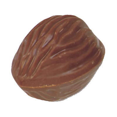 PRALINE BRUYERRE NOIX LAIT 1.1KG
