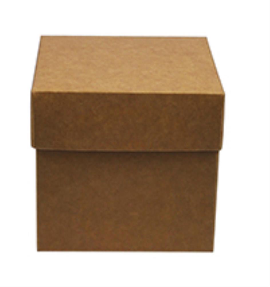 KRAFT CUBE BOX 90X90X85MM PAK VAN 10 STUKS FOST PLUS INBEGREPEN