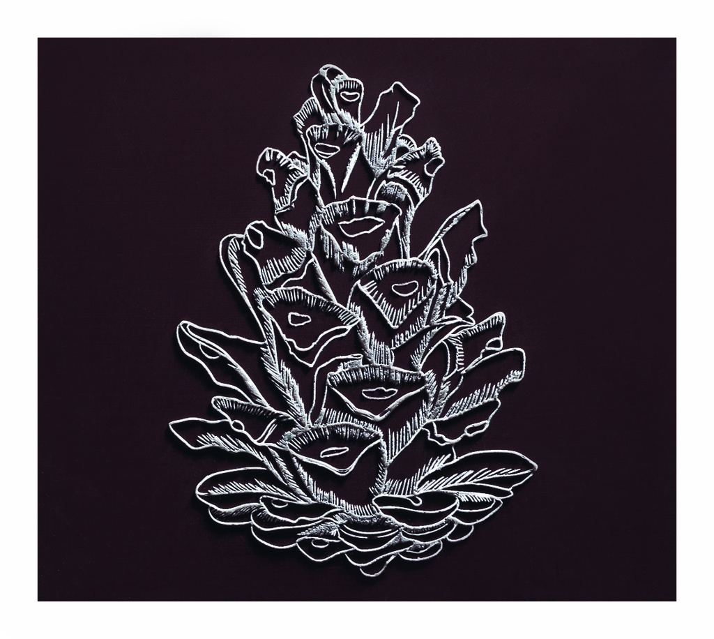 088024 PCB-EINDKAPPEN CN MET DENNENAPPEL-RELIËF 8,5X7,5CM 72 STUKS ***S/CDE***