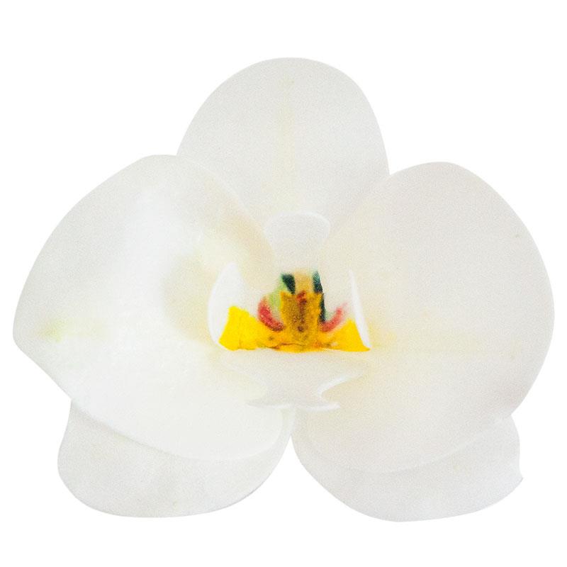 WHITE ORCHID WAFER 10 PCS