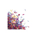 088214 PCB MÉLANGE DE FLEURS SÉCHÉES 12GR