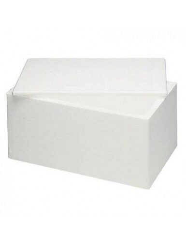 ISO-BOX IN POLYSTYRENE 41X31XHT31CM EXTERIOR