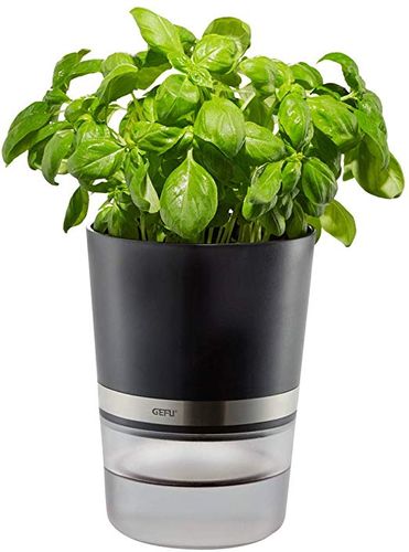 GEFU BOTANICO HERB POT STAINLESS STEEL/BLACK 14.3CM H 18.5CM 500ML