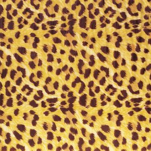 070222 PCB FEUILLES PAPIER CUISSON SAVANE 60X40 CM20PCES ***S/CD***