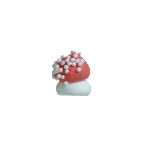 51330 PADDENSTOEL  960 STUKKEN = DOOS