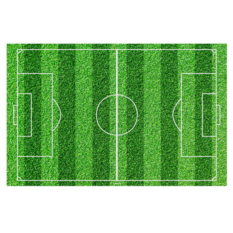 SUIKER VOETBAL VELD 20X30CM