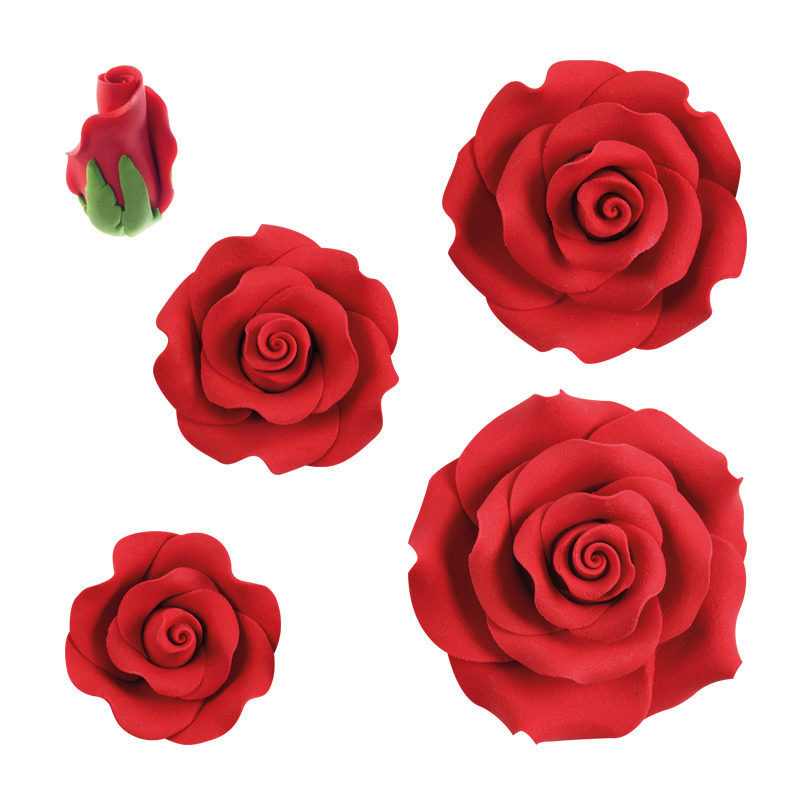 1066017 ASSORTIMENT DE ROSES ROUGE 23PCES ***S/CDE***