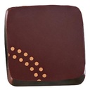 PCB Bedrukte vellen Bronsprint 6 uitvoeringen 4x4 cm 1500pces ***s/cd***