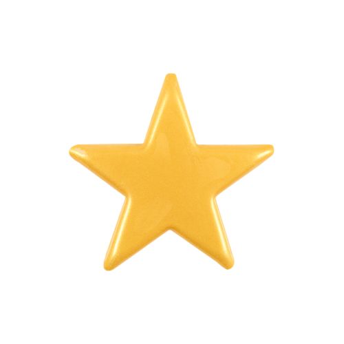 2013580 MEDIUM GOLD STAR DIA 55MM CHOCOLATE 90PCS