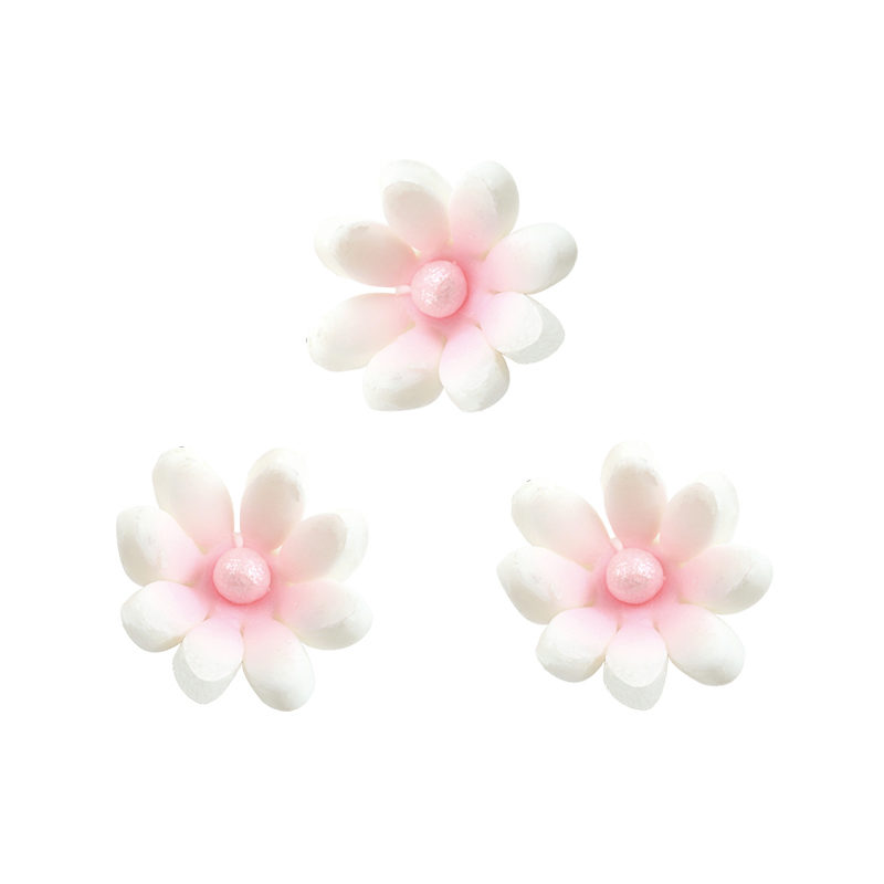 1062008 MARGUERITE BLANCHE 105 PCES***S/CD***