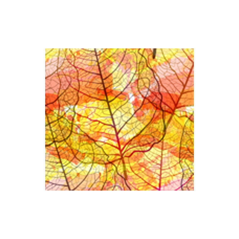 2014745 PLAQUETTE FEUILLE AUTOMNE CHOCOLAT  3X3CM 132 PIÈCES ***S/CD***