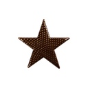 15653 STER MET PUNT 5,5CM 175PCES ***OP/ORDER***