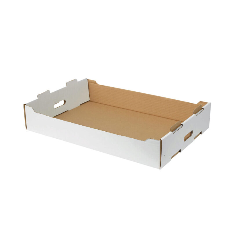 STACKABLE CARTON TRANSPORT BOX 60X40 FOST+ 2024 INCLUDED (€1,540385) 50 PCES